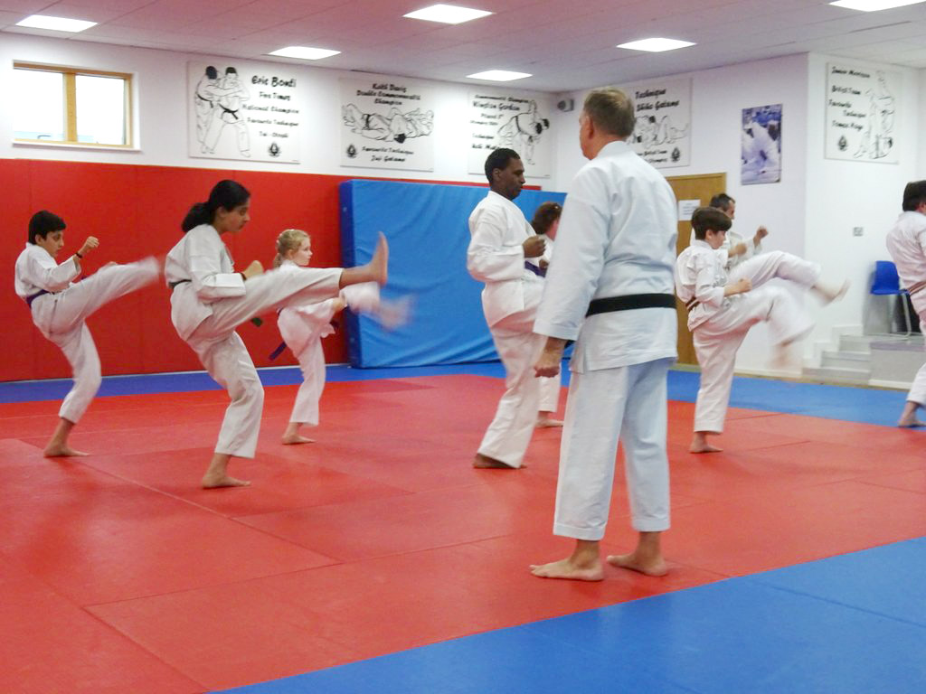 April 2017 Grading @ South London Shotokan Karate Club - South London